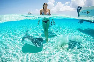 Stingray City