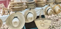 Customs and Formalities