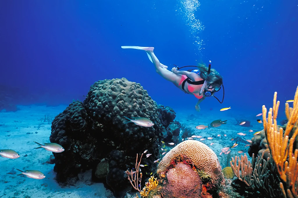 Marine park